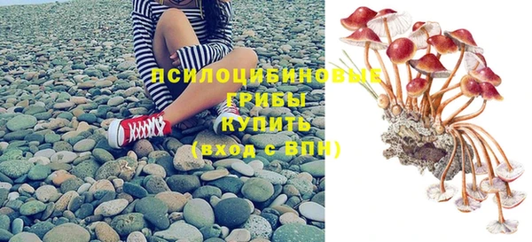 ГАЛЛЮЦИНОГЕННЫЕ ГРИБЫ Белоозёрский