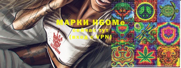 крисы Богородицк