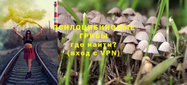 тгк Пестово